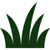Grass Icon